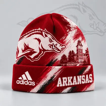 Arkansas Razorbacks | Premium NCAA Varsity Brushstroke Knit Cuffed Beanie NDN