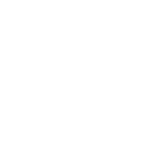 New York Jets
